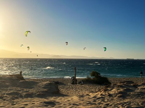 Kitesurfers over the sea off a sandy beach in the late-afternoon sun
